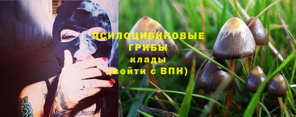 мяу мяу мука Абинск